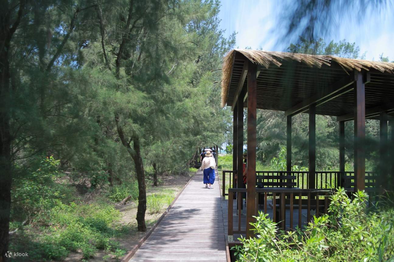 Excursion en radeau de bambou et dégustation d'huîtres à volonté à la lagune de Qigu Longshan, Tainan